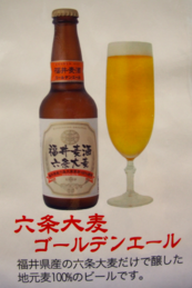 福井 六条大麦 ゴールデンエール