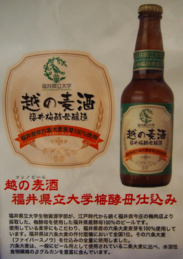 越の麦酒 福井県立大学梅酵母仕込み