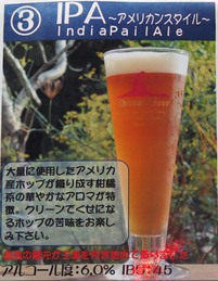 湘南 アメリカンスタイル IPA